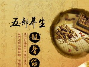 融合中醫養生文化，打造專業展板設計——高清PSD模板助力企業健康服務推廣
